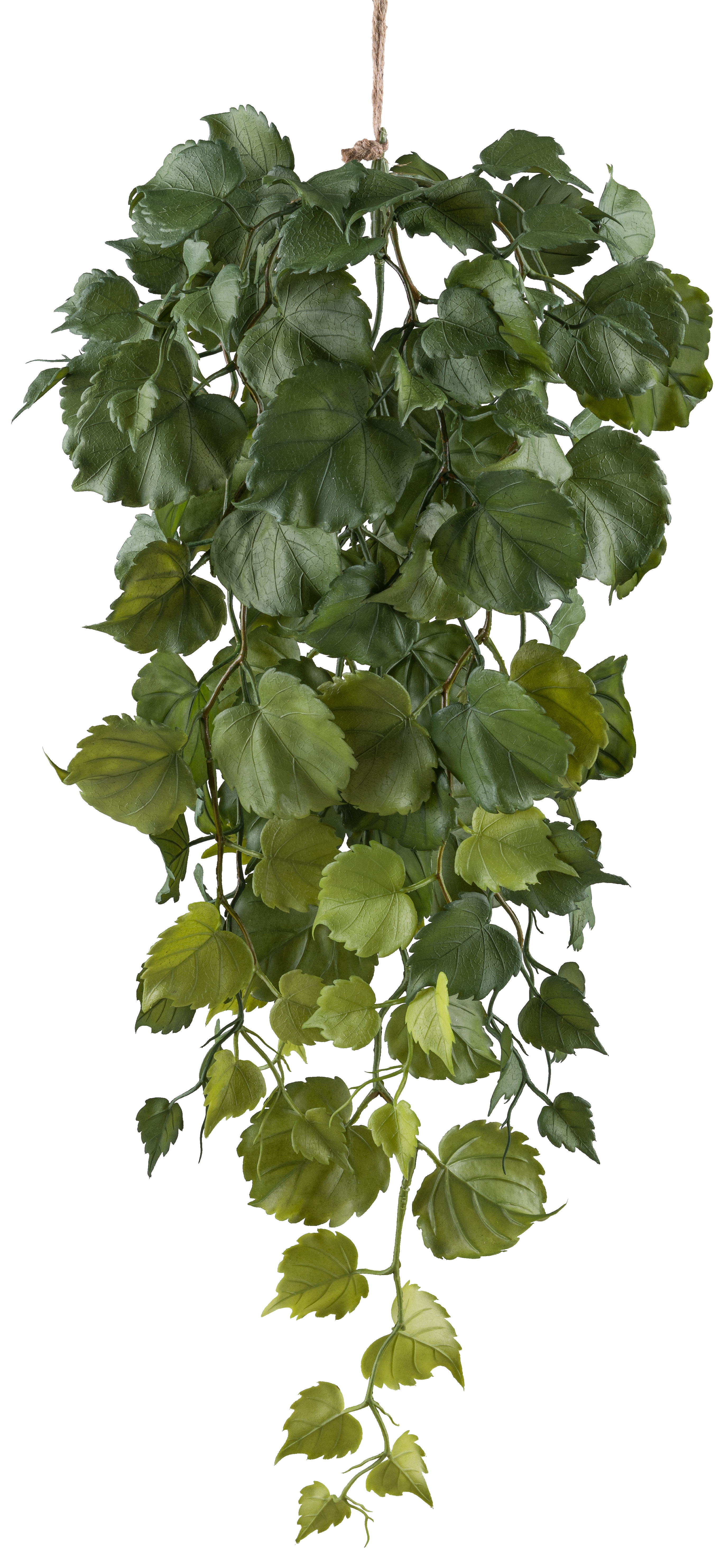 Tilia Blatthänger FLOWERS